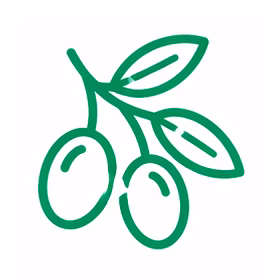 aceitunas aceitunas