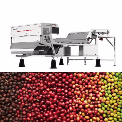 Máquina clasificadora de color de cerezas de café AMD® serie LY
