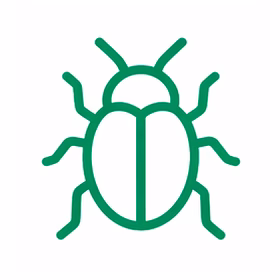 insectos insectos
